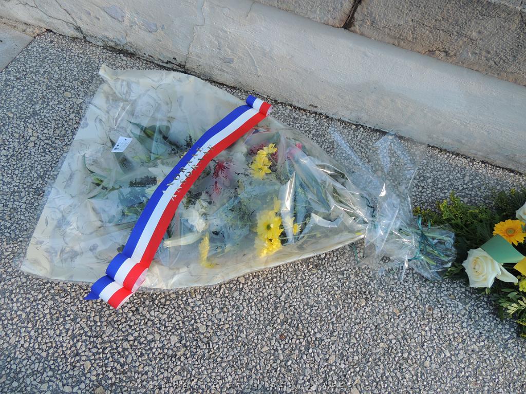 2022 12 05 TOULON HOMMAGE AUX MORTS POUR LA FRANCE EN AFN (12).JPG -           